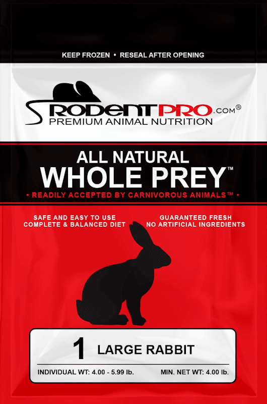 Frozen Large Rabbits 1ct for Sale: Shop Online at RodentPro